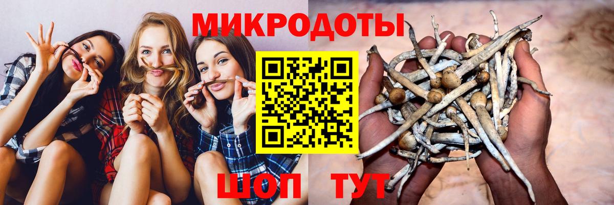 Галлюциногенные грибы Psilocybe Куйбышев
