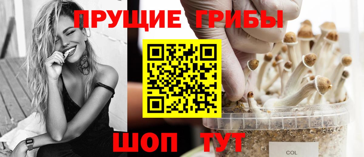 Куйбышев  Псилоцибиновые грибы GOLDEN TEACHER  Вход с VPN 